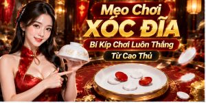 Mẹo Chơi Xóc Đĩa - Bí Kíp Chơi Luôn Thắng Từ Cao Thủ